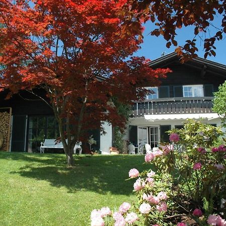 Ferienhaus Nest Blaichach Kültér fotó