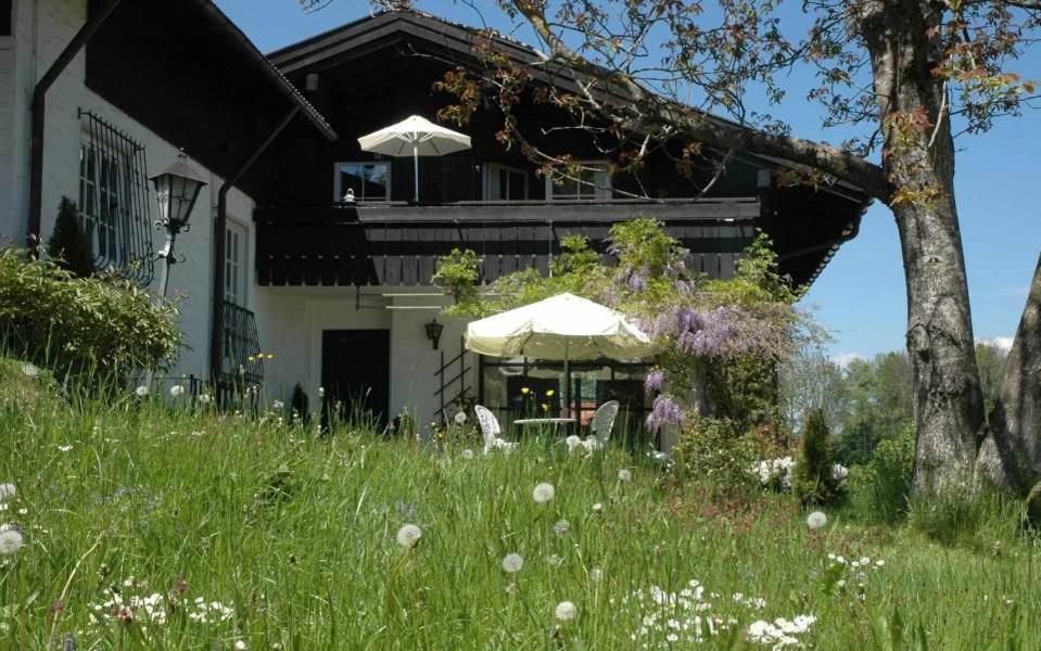 Ferienhaus Nest Blaichach Kültér fotó